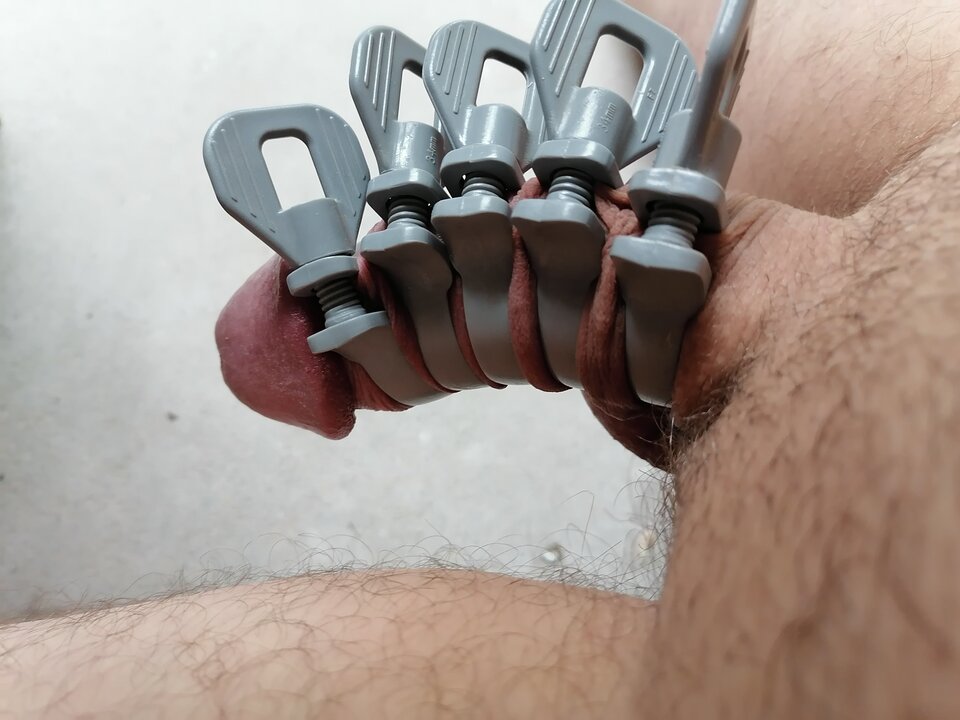 IMG_20210605_093100.jpg - aragorn1985