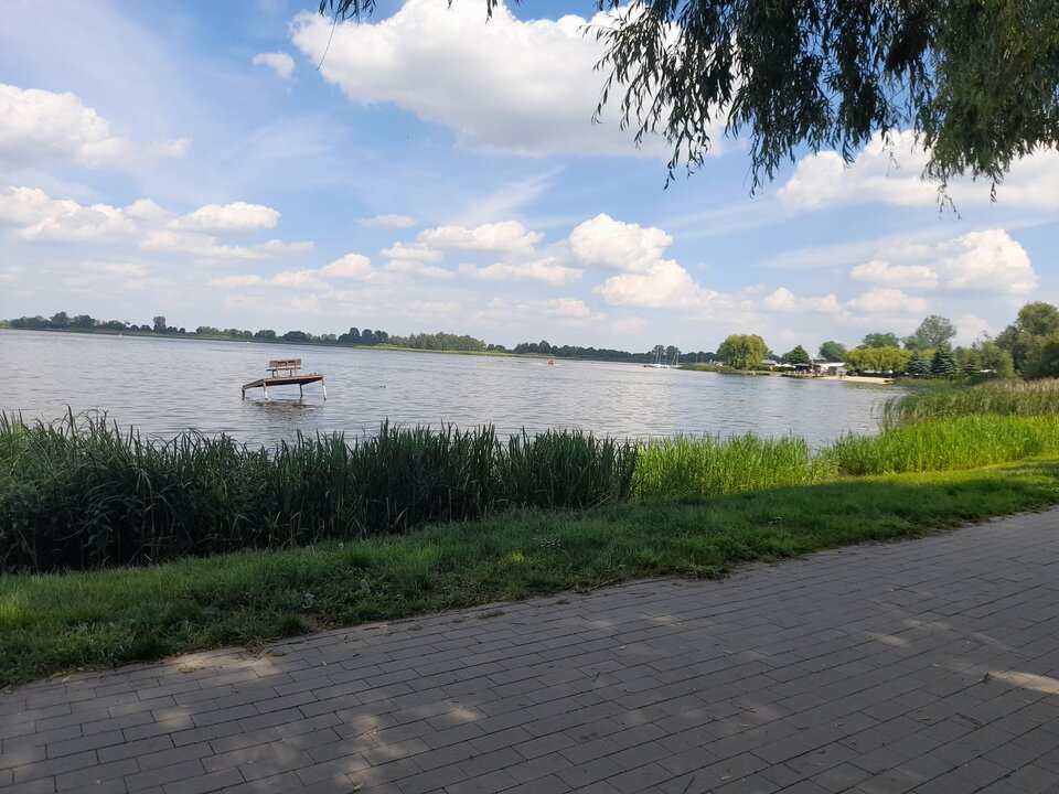 20210605_151033.jpg - krzysiu123qw