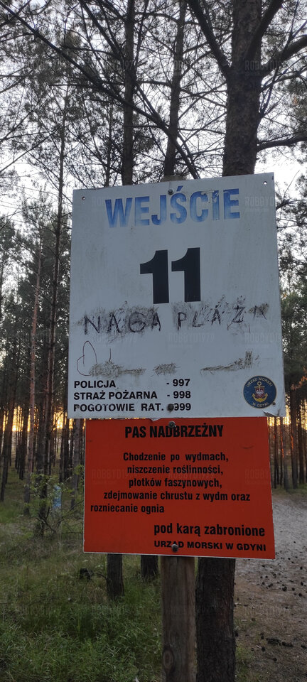 IMG_20210605_214839.jpg - robbyd1979