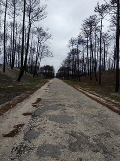 IMG_20180328_084736.jpg