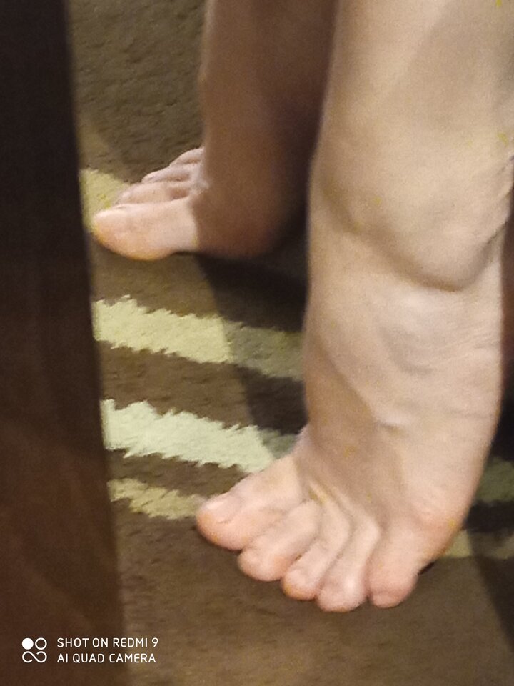 IMG_20210605_233717.jpg - dzidek1971