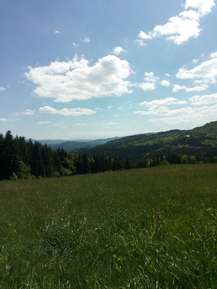 IMG_20210603_143054.jpg - kajol302