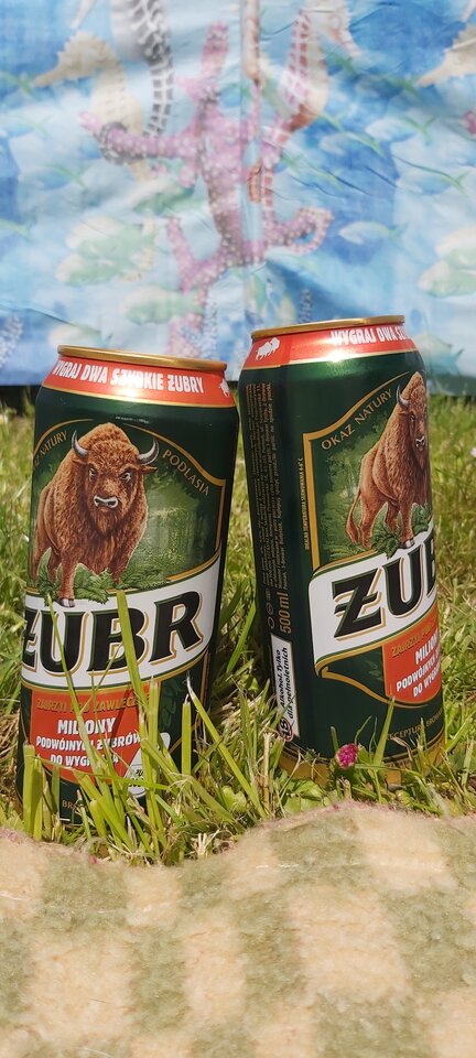 16229703148294306655245793792984.jpg - paraolsztyn11