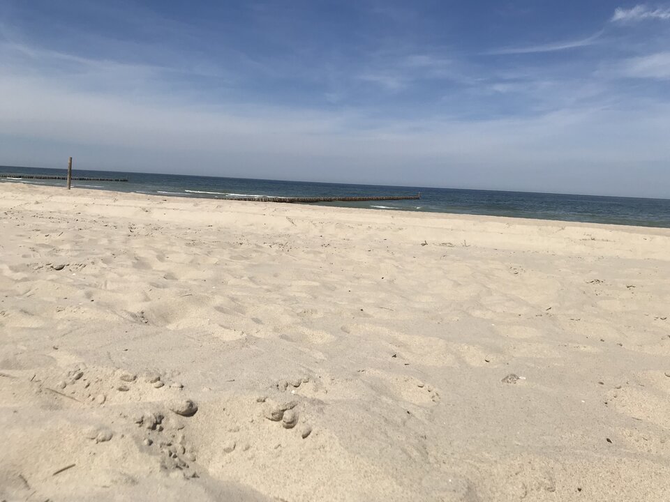 AE5EDF41-1055-4F05-A9A6-0D04B0522C63.jpeg - mwawrowski