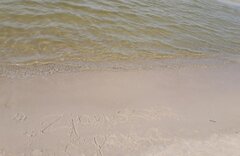 20210606_150804.jpg
