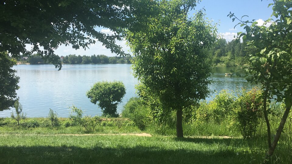 1F74076F-D9B9-49D4-86B2-85037991E89A.jpeg - Up_And_Down