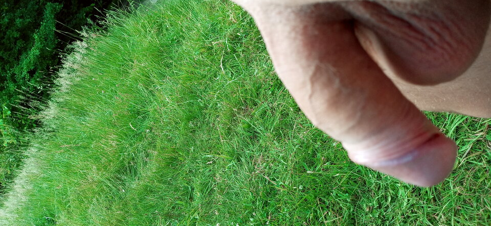 20210606_181031.jpg - krzys122345