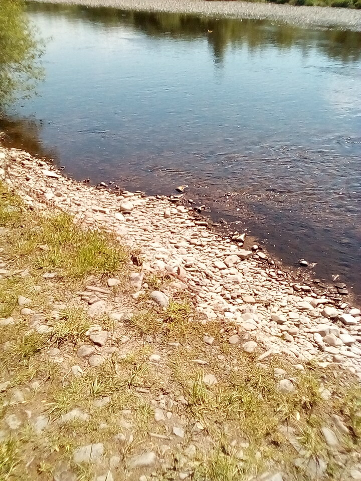 IMG_20210606_145901.jpg - maniana35