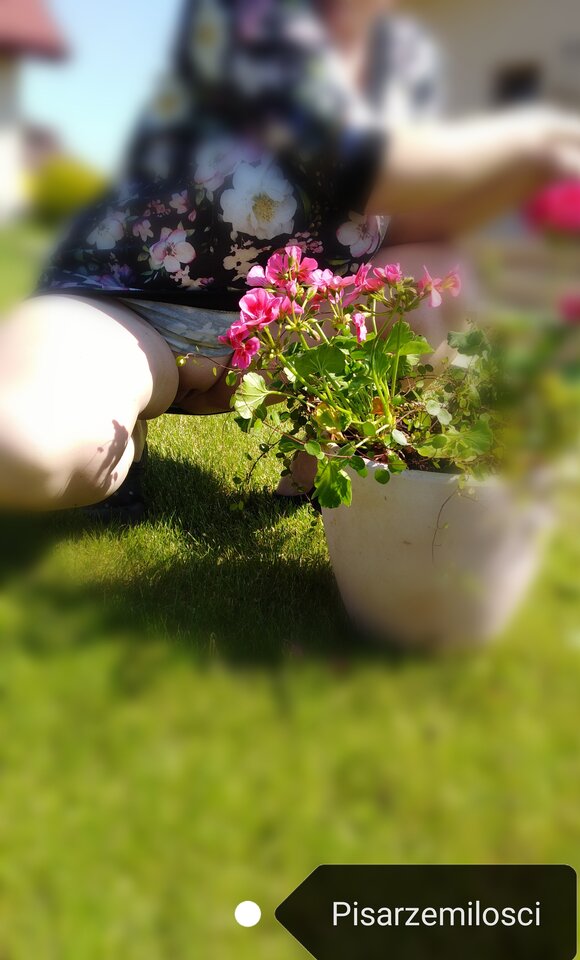 IMG_20210606_200119.jpg - Pisarzemilosci