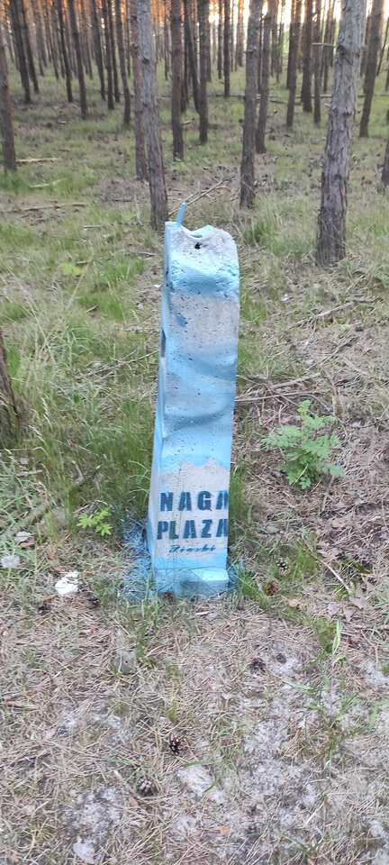 IMG_20210605_214856.jpg - robbyd1979