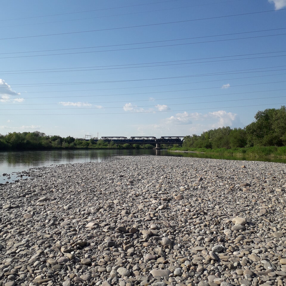 20210606_172313.jpg - MilyChetnyRealnie