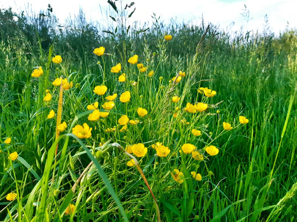 20210604_183859.jpg - torii99