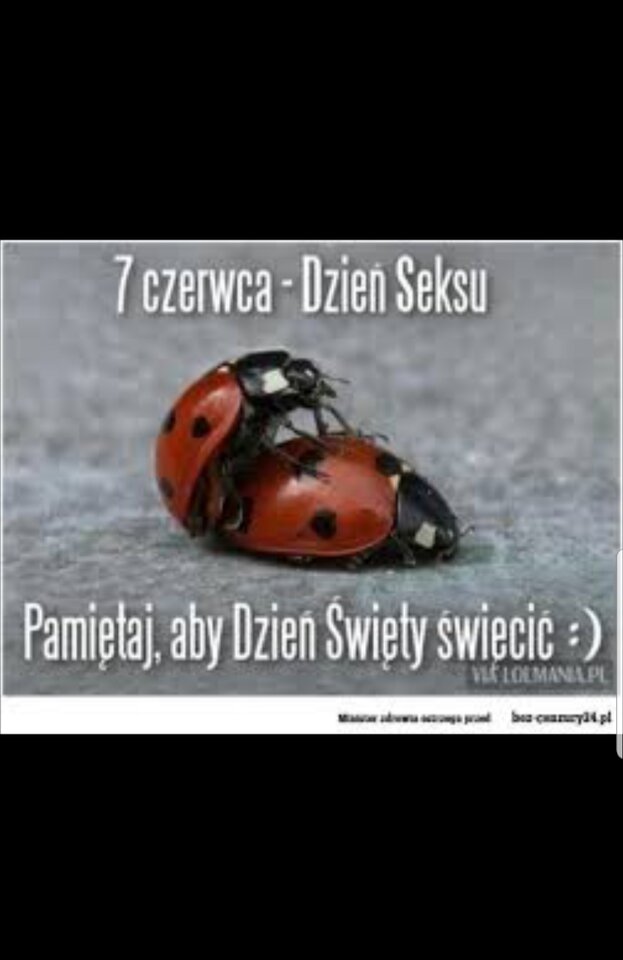 20210607_071235.jpg - LuckyLuke1982