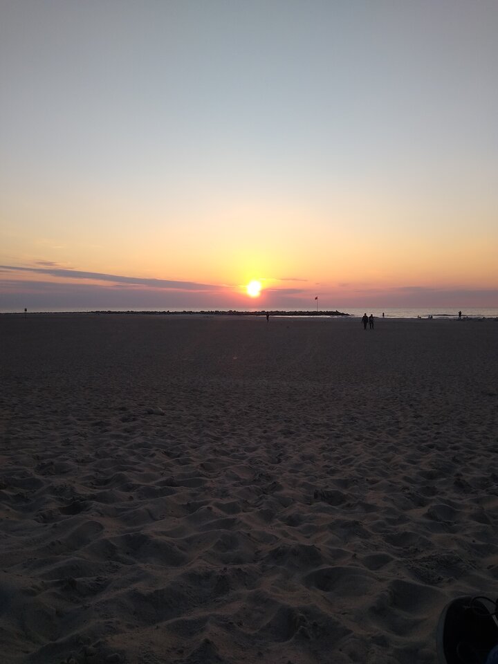 IMG_20210602_205807142.jpg - Kaktuss44