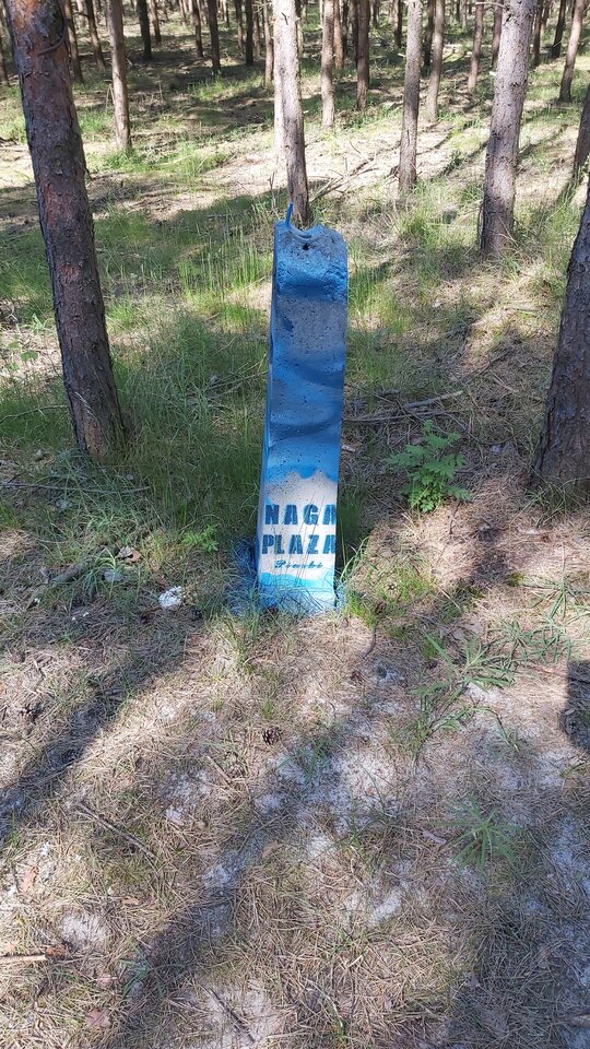 20210604_091857.jpg - maniek34