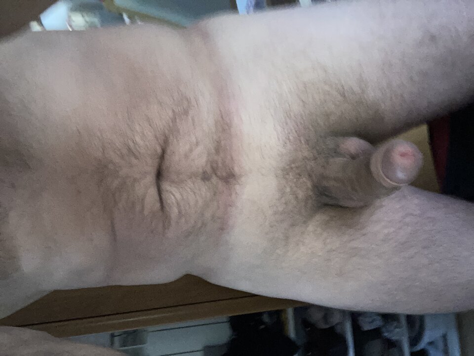 image.jpg - Seba2481