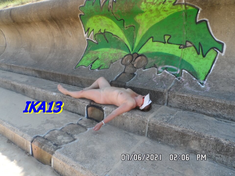 SAM_3439.JPG - ika13