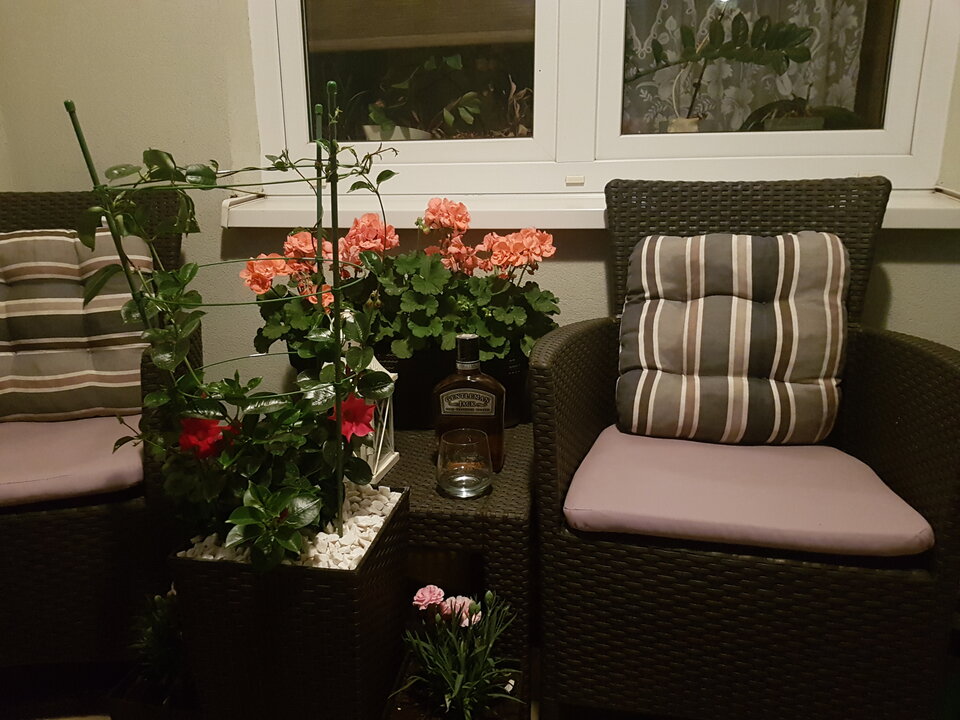 20210607_215812.jpg - LuckyLuke1982