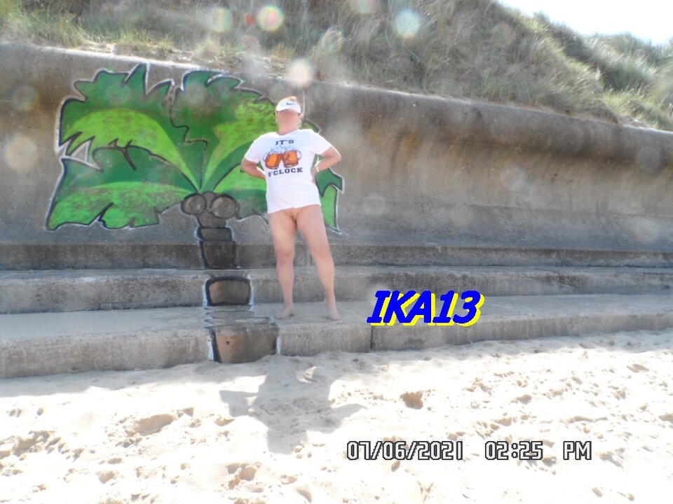 SAM_3451.JPG - ika13