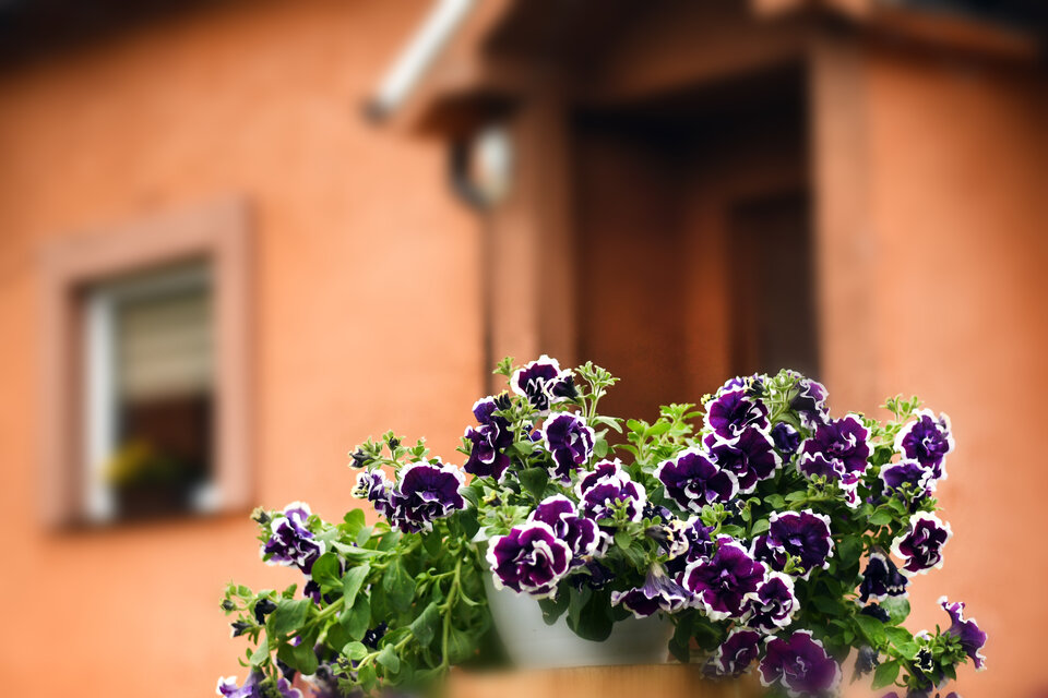 AKK_7323.jpg - Ahmedaaa