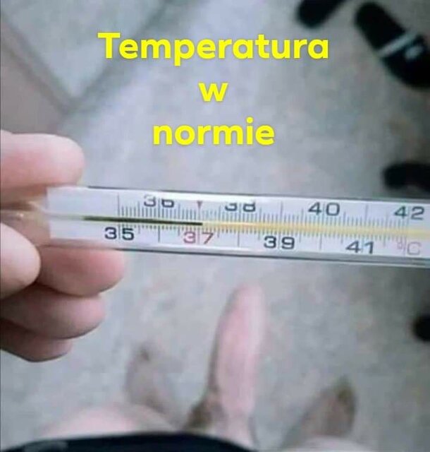 received_885466485238344.jpeg - poszukiwacz82