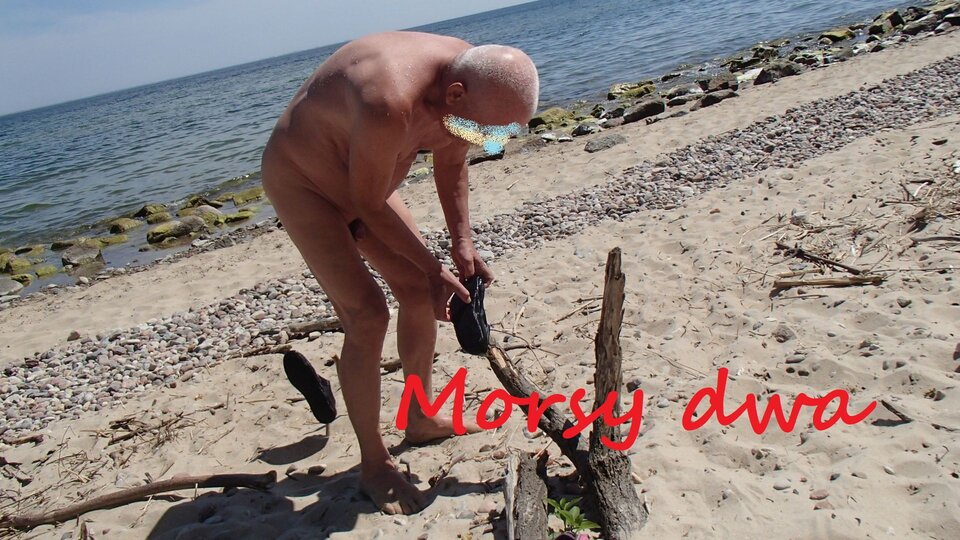 Po drodze 08 06 2021. - Morsy_dwa