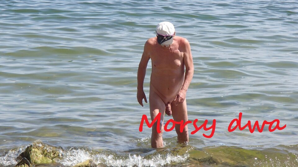 Po drodze 08 06 2021. - Morsy_dwa