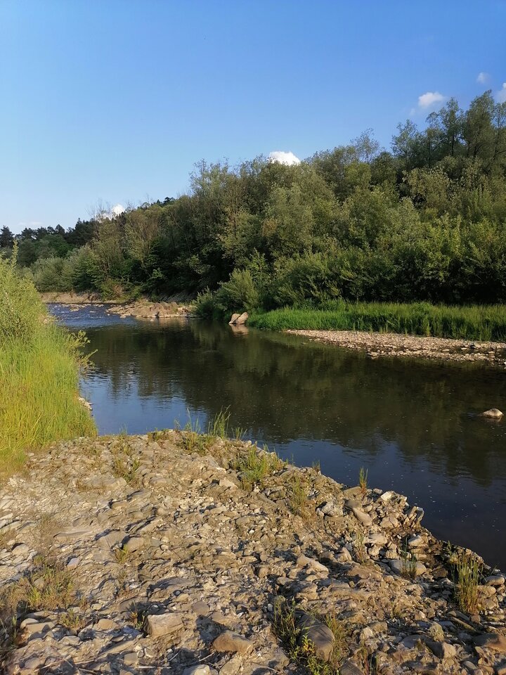 IMG_20210608_183213.jpg - Zapytajodpowiem