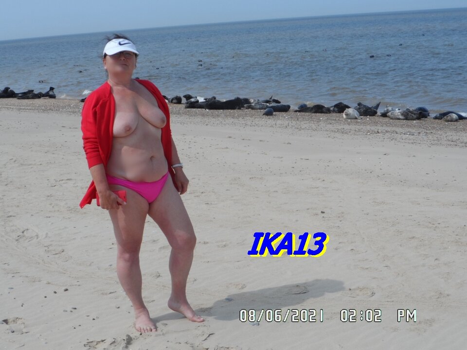 SAM_3463-1.JPG - ika13