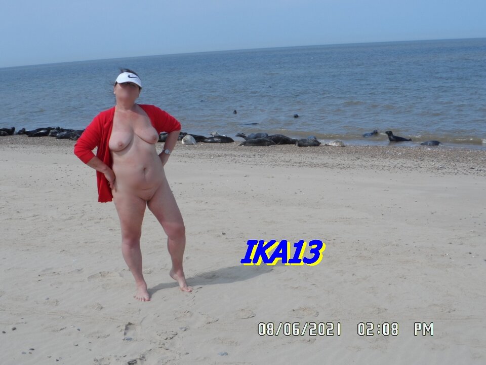 SAM_3470.JPG - ika13