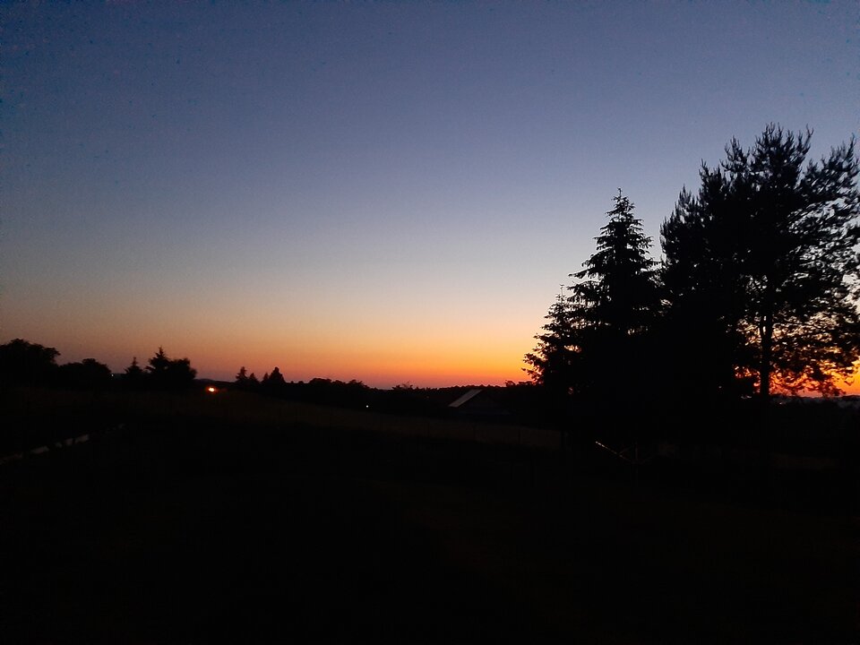 20210608_214304.jpg - Marius197