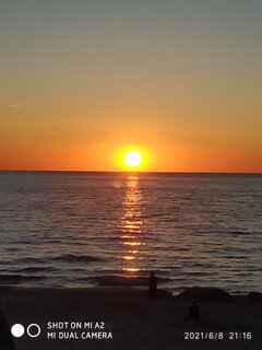 IMG_20210608_211613.jpg