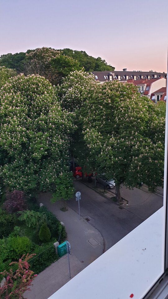 20210607_040551.jpg - reporter13