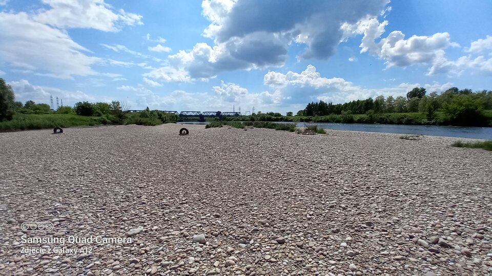 20210609_140455.jpg - amfeti35