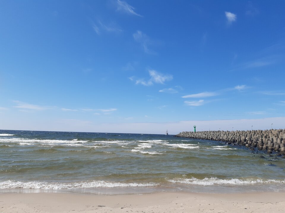 20210528_142132.jpg - torii99