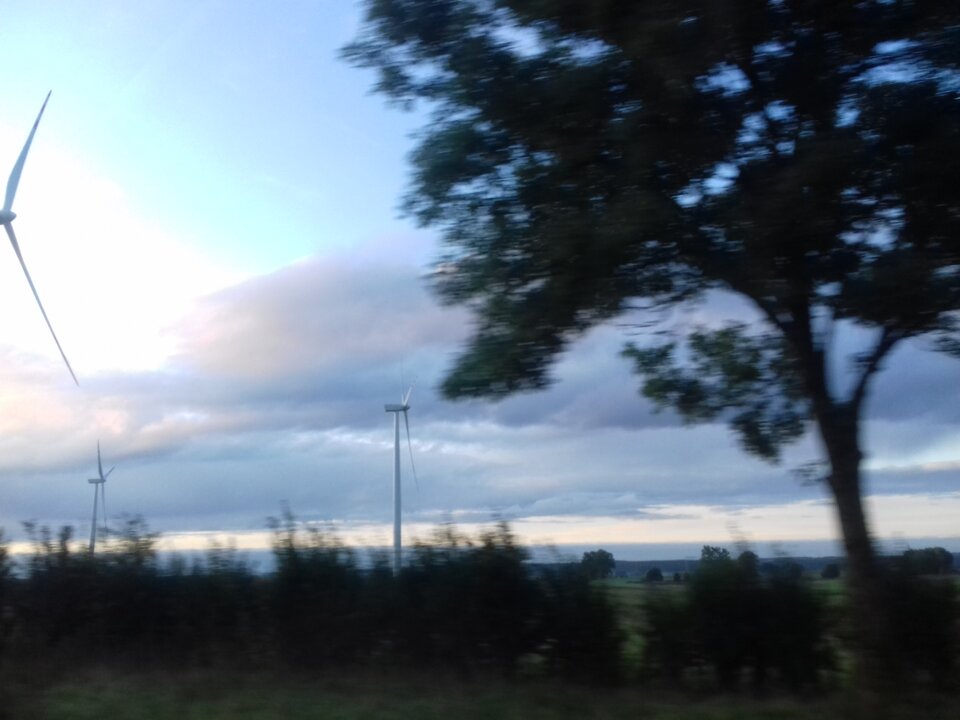 20191004_072649.jpg - torii99