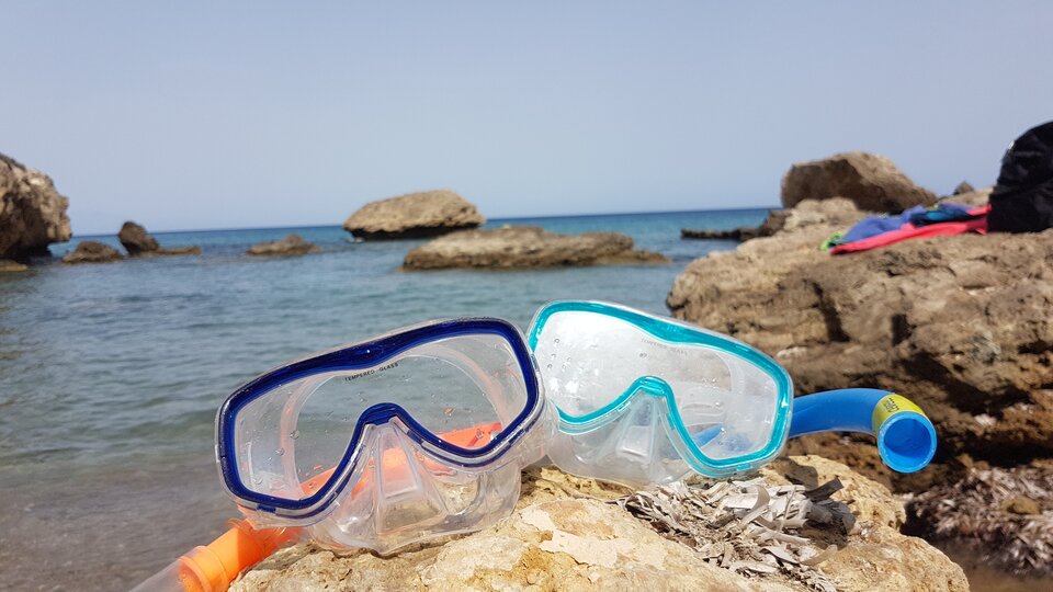 20201004_123705.jpg - JeleniSarna