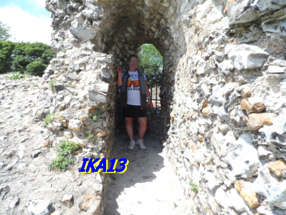 SAM_3484.JPG - ika13