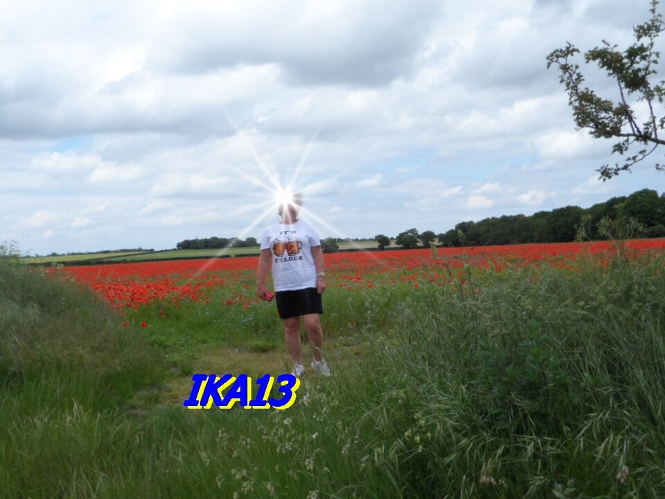 SAM_3487.JPG - ika13