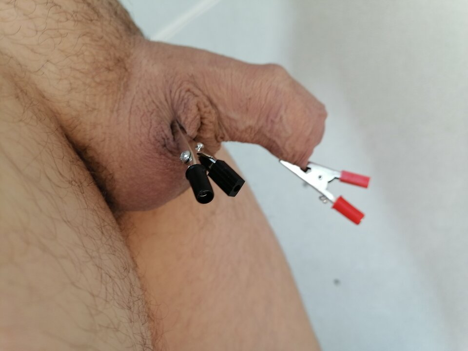 IMG_20210612_115152.jpg - aragorn1985