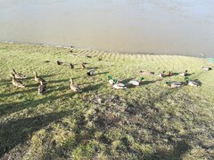 IMG_20210227_121332.jpg