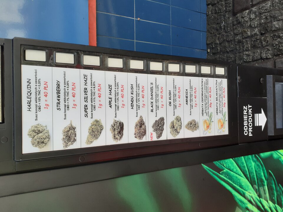 20201003_092211.jpg - plazaswinoujscie40