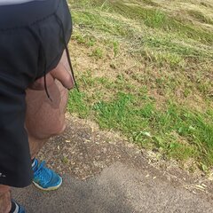 IMG_20210613_135134.jpg