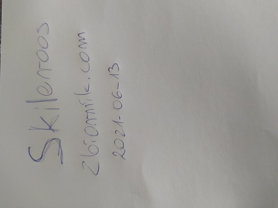 16236057229454269821589307073857.jpg - skileroos