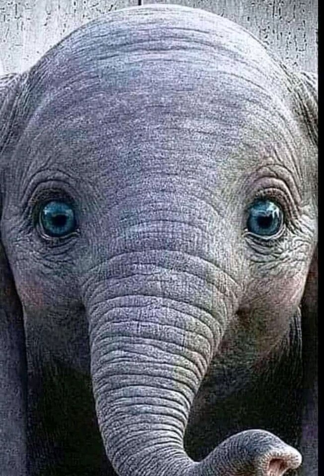 FB_IMG_16222845957139157.jpg - pracowityWacek