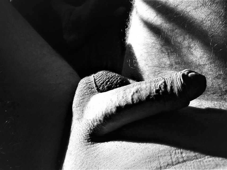 DSC01095.JPG - JJ281a