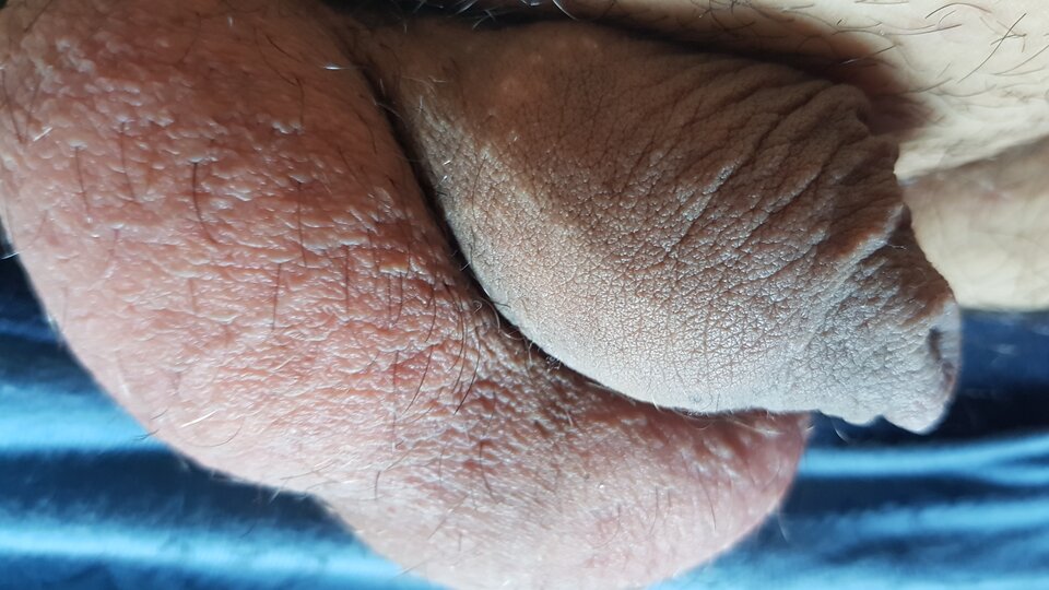 16236717360396580802531772762727.jpg - Bodzioqu92