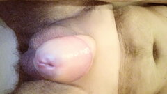 attach (26).jpeg