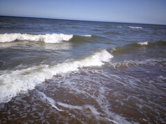 IMG_20210614_144451.jpg