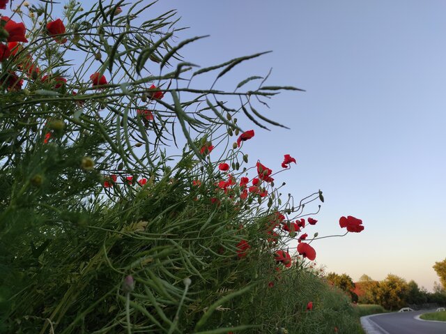 EkstraktPrzyjemnosci